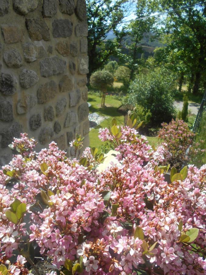 Maison D'Hotes Les Palmiers Gluiras Екстер'єр фото
